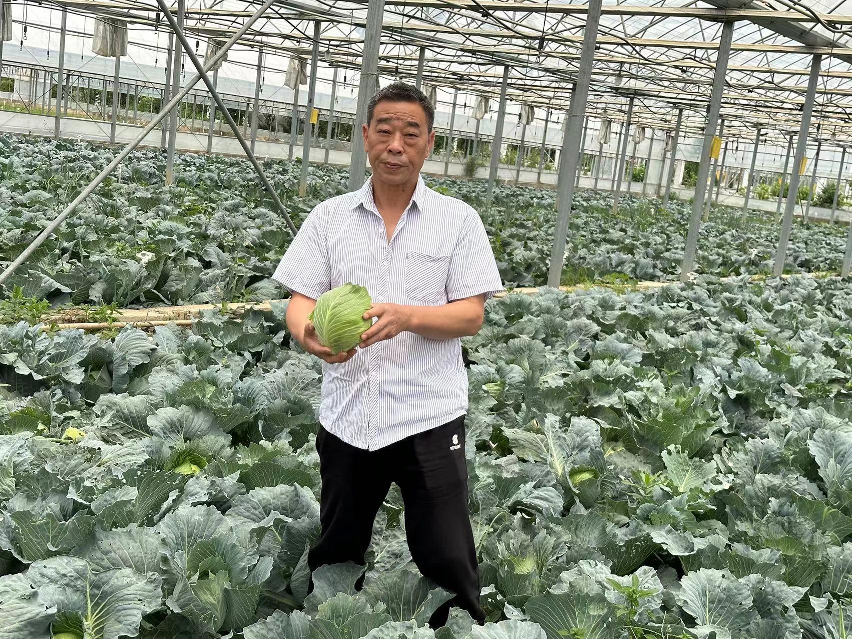 刘洪定-新野蔬菜协会
